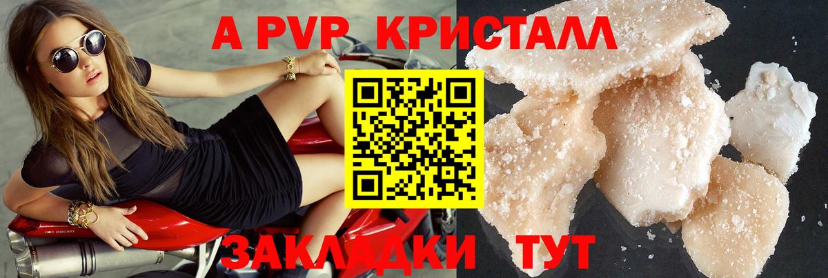 Alfa_PVP СК КРИС Буйнакск
