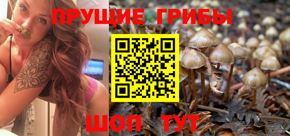 Псилоцибиновые грибы MAGIC MUSHROOMS Буйнакск