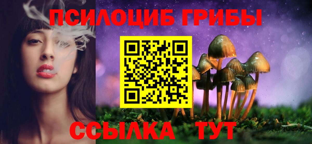 Псилоцибиновые грибы Psilocybine cubensis  Вход с VPN  Буйнакск 